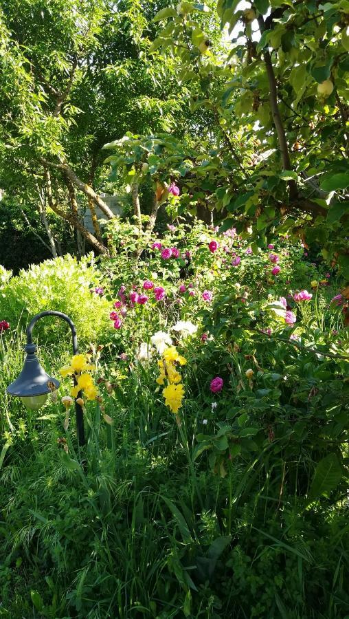 Lolifan En Provence Bed and Breakfast Μπρινιόλ Εξωτερικό φωτογραφία
